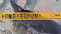 《长吻鮠是不是保护动物？》封面图