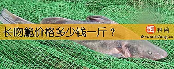 长吻鮠价格多少钱一斤