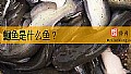 《鮰鱼是什么鱼?》封面图