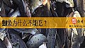 《鮰鱼为什么不能吃?》封面图