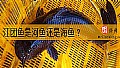 《江团鱼是河鱼还是海鱼？》封面图