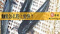 《鮰鱼怎么钓上鱼快？》封面图