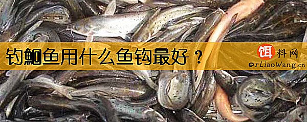 钓鮰鱼用什么鱼钩最好