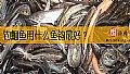 《钓鮰鱼用什么鱼钩最好？》封面图