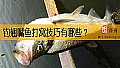 《钓翘嘴鱼打窝技巧有哪些？》封面图