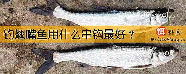 钓翘嘴鱼用什么串钩最好