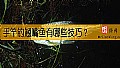 手竿钓翘嘴鱼有哪些技巧？