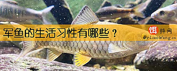 军鱼的生活习性有哪些