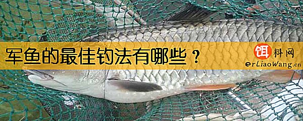 军鱼的最佳钓法有哪些