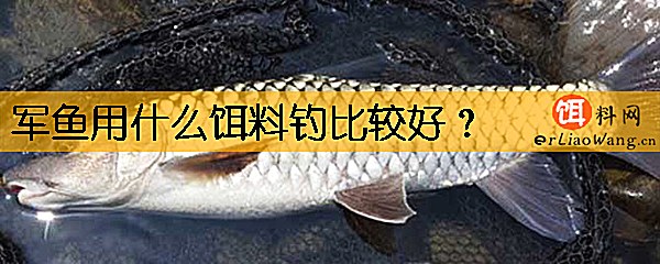 军鱼用什么饵料钓比较好