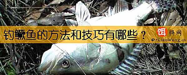 钓鳜鱼的方法和技巧有哪些