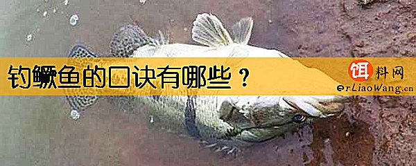 钓鳜鱼的口诀有哪些