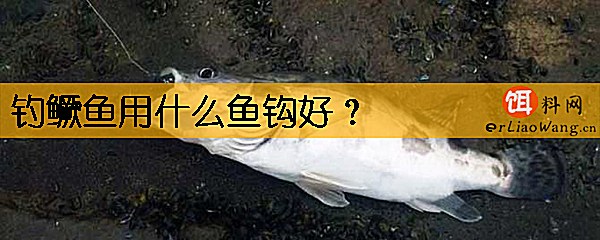 钓鳜鱼用什么鱼钩好