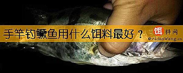 手竿钓鳜鱼用什么饵料最好