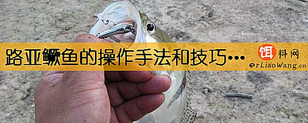 路亚鳜鱼的操作手法和技巧有哪些