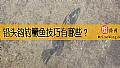 《铅头钩钓鳜鱼技巧有哪些？》封面图