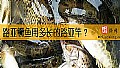 《路亚鳜鱼用多长的路亚竿？》封面图