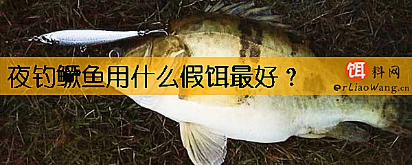夜钓鳜鱼用什么假饵最好