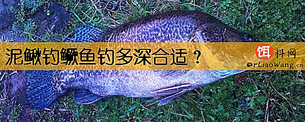 泥鳅钓鳜鱼钓多深合适