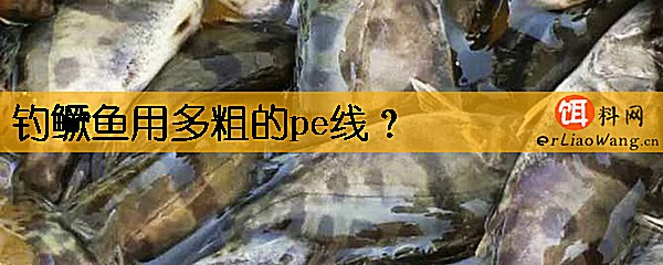 钓鳜鱼用多粗的pe线