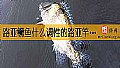 《路亚鳜鱼什么调性的路亚竿好?》封面图