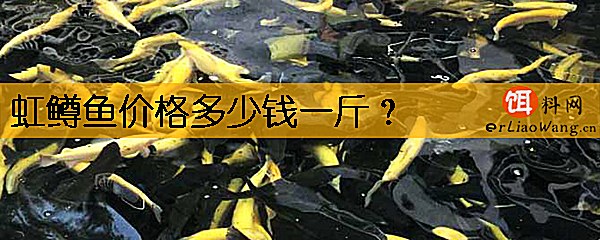 虹鳟鱼价格多少钱一斤