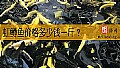 《虹鳟鱼价格多少钱一斤？》封面图
