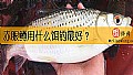 《赤眼鳟用什么饵钓最好？》封面图