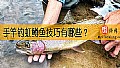 《手竿钓虹鳟鱼技巧有哪些？》封面图