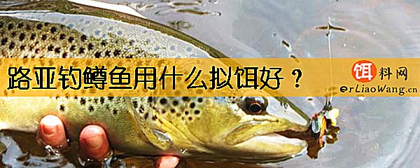 路亚钓鳟鱼用什么拟饵好