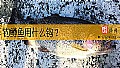 《钓鳟鱼用什么钩？》封面图