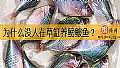 《为什么没人在草缸养鳑鲏鱼？》封面图