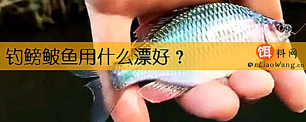 钓鳑鲏鱼用什么漂好