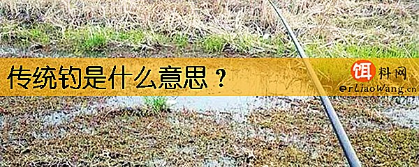 传统钓是什么意思