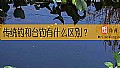 《传统钓和台钓有什么区别？》封面图