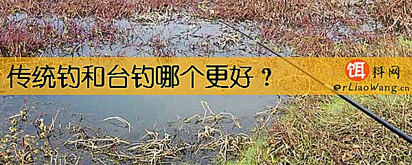 传统钓和台钓哪个更好