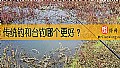 《传统钓和台钓哪个更好？》封面图
