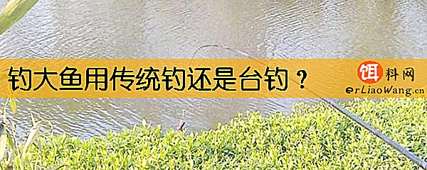 钓大鱼用传统钓还是台钓