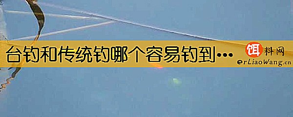 台钓和传统钓哪个容易钓到鱼