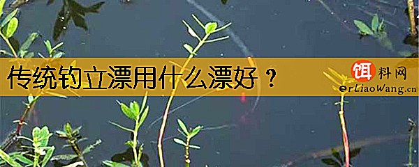 传统钓立漂用什么漂好