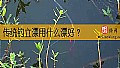 《传统钓立漂用什么漂好？》封面图