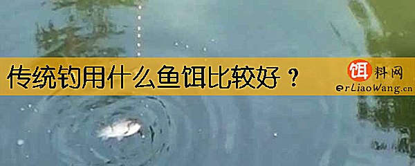 传统钓用什么鱼饵比较好