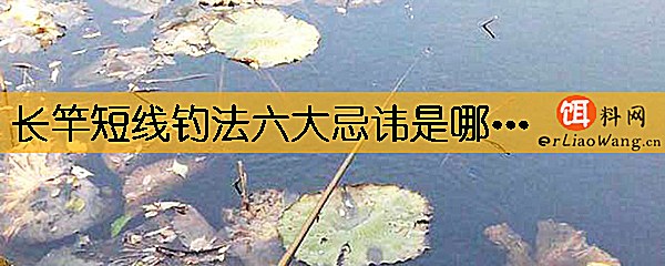 长竿短线钓法六大忌讳是哪些
