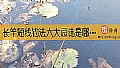 《长竿短线钓法六大忌讳是哪些？》封面图