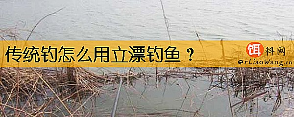 传统钓怎么用立漂钓鱼