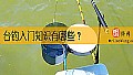 《台钓入门知识有哪些？》封面图