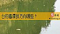 《台钓看漂技巧有哪些？》封面图