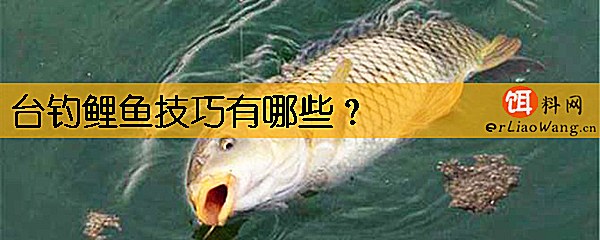 台钓鲤鱼技巧有哪些