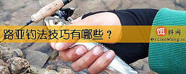 路亚钓法技巧有哪些