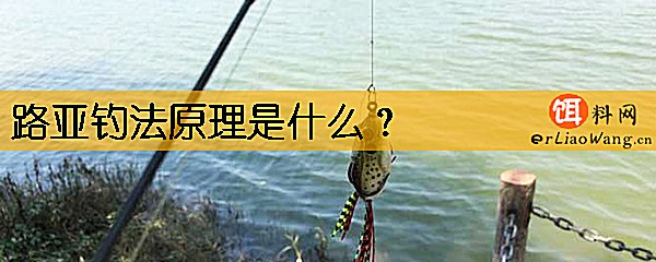 路亚钓法原理是什么